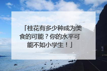 桂花有多少种成为美食的可能？你的水平可能不如小学生！