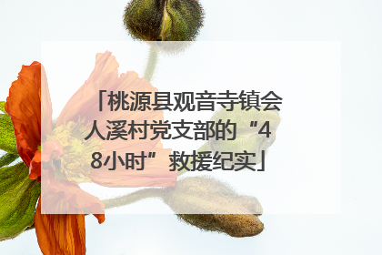 桃源县观音寺镇会人溪村党支部的“48小时”救援纪实