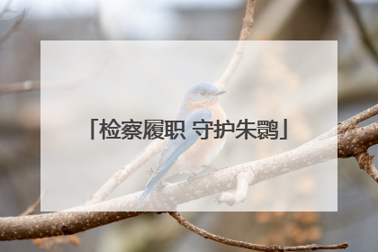 检察履职 守护朱鹮