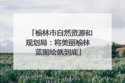 榆林市自然资源和规划局：将美丽榆林蓝图绘就到底