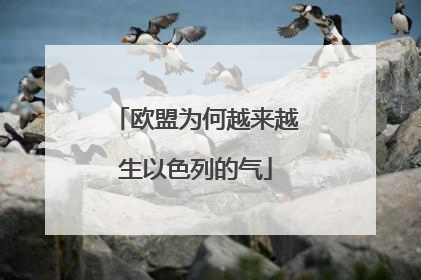 欧盟为何越来越生以色列的气