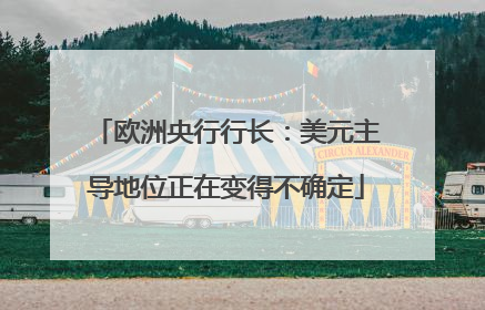 欧洲央行行长：美元主导地位正在变得不确定
