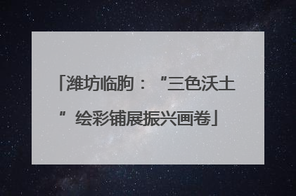 潍坊临朐：“三色沃土”绘彩铺展振兴画卷