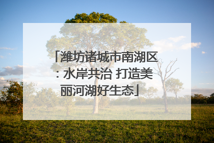 潍坊诸城市南湖区：水岸共治 打造美丽河湖好生态