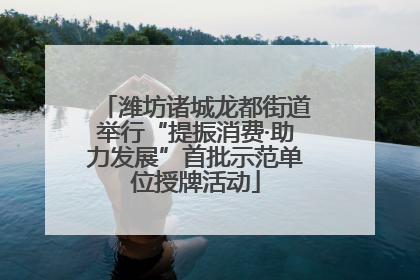 潍坊诸城龙都街道举行“提振消费·助力发展”首批示范单位授牌活动