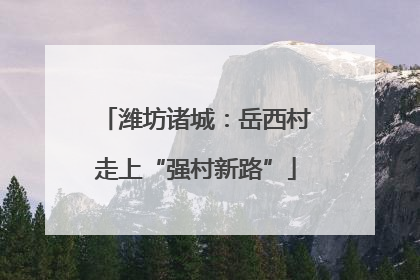 潍坊诸城：岳西村走上“强村新路”
