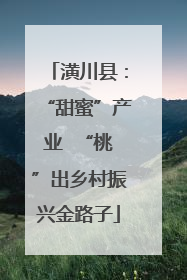 潢川县：“甜蜜”产业  “桃”出乡村振兴金路子