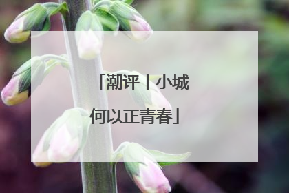 潮评丨小城何以正青春