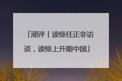 潮评丨读懂任正非访谈，读懂上升期中国