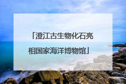 澄江古生物化石亮相国家海洋博物馆