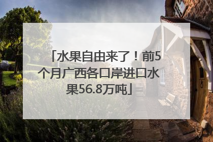 水果自由来了！前5个月广西各口岸进口水果56.8万吨