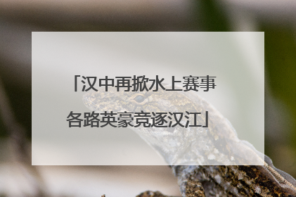 汉中再掀水上赛事 各路英豪竞逐汉江