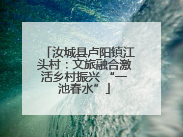 汝城县卢阳镇江头村：文旅融合激活乡村振兴 “一池春水”
