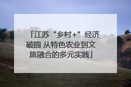 江苏“乡村+”经济破圈 从特色农业到文旅融合的多元实践