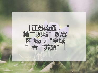 江苏南通：“第二现场”观赛区 城市“全域”看“苏超”