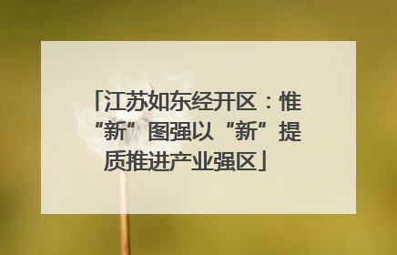 江苏如东经开区：惟“新”图强以“新”提质推进产业强区