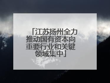 江苏扬州全力推动国有资本向重要行业和关键领域集中