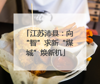 江苏沛县：向“智”求新“煤城”焕新机