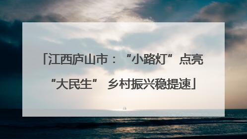 江西庐山市：“小路灯”点亮“大民生” 乡村振兴稳提速