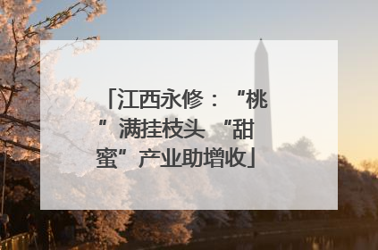 江西永修：“桃”满挂枝头 “甜蜜”产业助增收