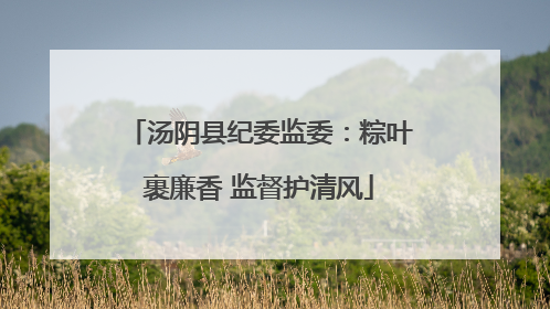 汤阴县纪委监委：粽叶裹廉香 监督护清风