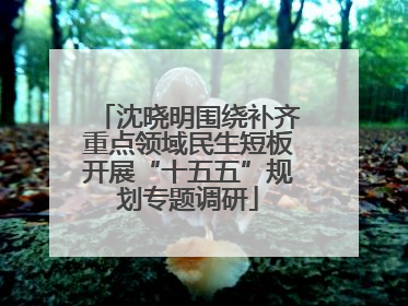 沈晓明围绕补齐重点领域民生短板开展“十五五”规划专题调研