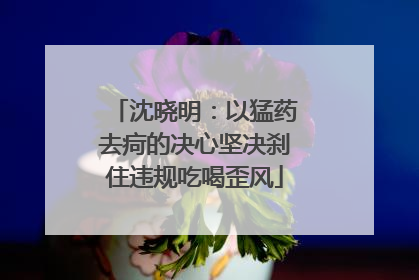 沈晓明：以猛药去疴的决心坚决刹住违规吃喝歪风