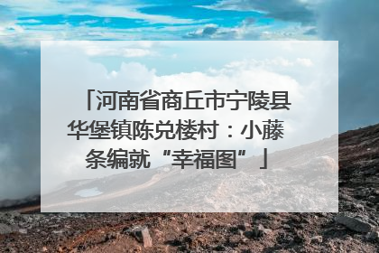 河南省商丘市宁陵县华堡镇陈兑楼村：小藤条编就“幸福图”