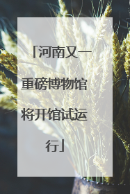 河南又一重磅博物馆将开馆试运行