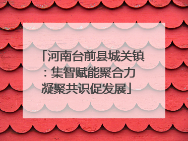 河南台前县城关镇：集智赋能聚合力 凝聚共识促发展
