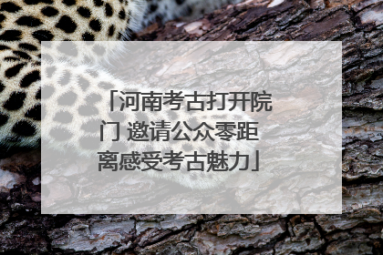 河南考古打开院门 邀请公众零距离感受考古魅力