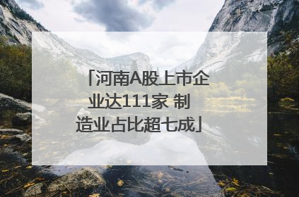 河南A股上市企业达111家 制造业占比超七成