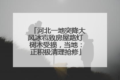 河北一地突降大风冰雹致房屋路灯树木受损，当地：正积极清理抢修