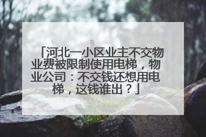 河北一小区业主不交物业费被限制使用电梯，物业公司：不交钱还想用电梯，这钱谁出？