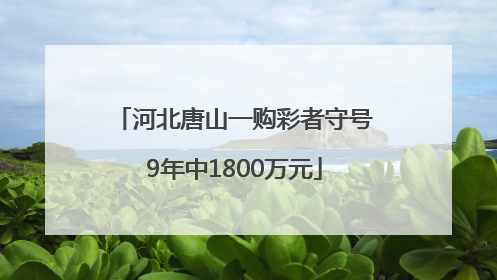 河北唐山一购彩者守号9年中1800万元