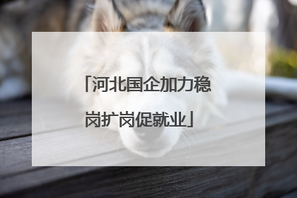 河北国企加力稳岗扩岗促就业