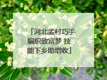 河北孟村巧手编织致富梦 技能下乡助增收