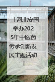 河北安国举办2025年中医药传承创新发展主题活动