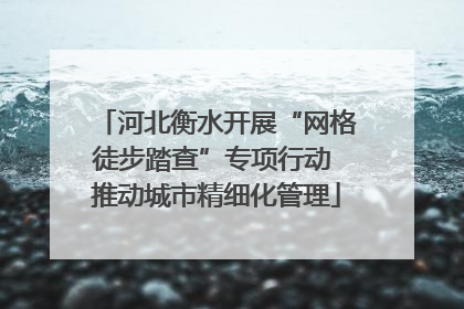 河北衡水开展“网格徒步踏查”专项行动 推动城市精细化管理