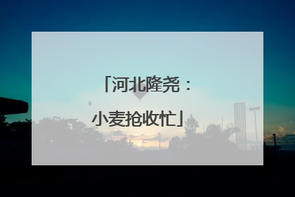 河北隆尧：小麦抢收忙