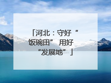 河北：守好“饭碗田” 用好“发展地”