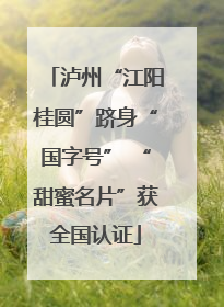泸州“江阳桂圆”跻身“国字号” “甜蜜名片”获全国认证