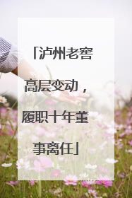 泸州老窖高层变动，履职十年董事离任