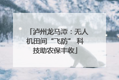 泸州龙马潭：无人机田间“飞防” 科技助农保丰收