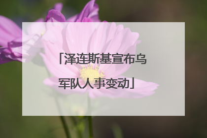泽连斯基宣布乌军队人事变动