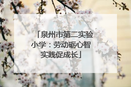 泉州市第二实验小学：劳动砺心智实践促成长