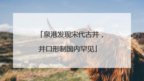 泉港发现宋代古井，井口形制国内罕见