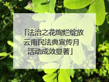 法治之花绚烂绽放 云南民法典宣传月活动成效显著