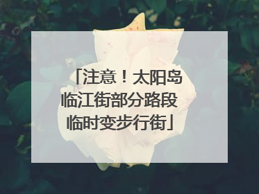 注意！太阳岛临江街部分路段临时变步行街