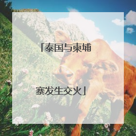 泰国与柬埔寨发生交火